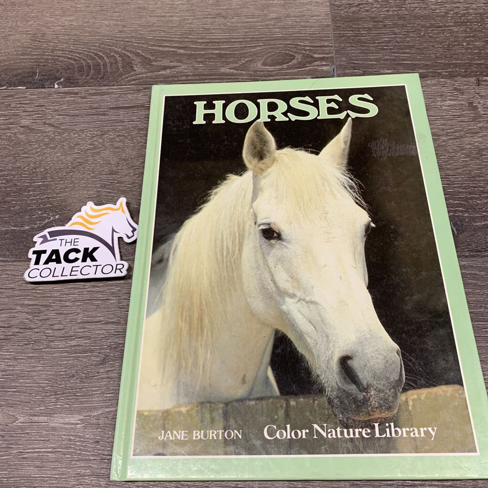 Horses by Jane Burton *gc, faded, mnr dirt & stains