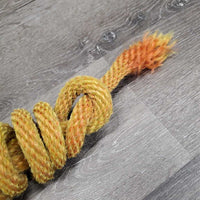 Nylon Lead Rope *gc, dirt, stains, hairy, v. stiff, unwound frayed end, rubs, dinged hardware, faded
