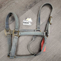 Thick Nylon Halter *gc, mnr dirt, stained, hair, v. faded, mnr frayed holes, sm cut cheek
