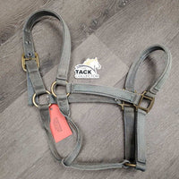 Thick Nylon Halter *gc, mnr dirt, stained, hair, v. faded, mnr frayed holes, sm cut cheek
