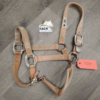 Adjustable Thick Nylon Halter *gc, dirt, stained, hair, stiff, sm chin cut, scuffed plaiting
