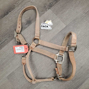 Adjustable Thick Nylon Halter *gc, dirt, stained, hair, stiff, sm chin cut, scuffed plaiting