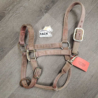 Adjustable Thick Nylon Halter *gc, dirty, stained, hair, v. stiff, rubs, frayed holes, scuffed plaiting
