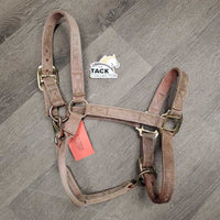 Adjustable Thick Nylon Halter *gc, dirty, stained, hair, v. stiff, rubs, frayed holes, scuffed plaiting
