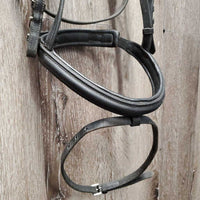Rsd/Padded Bridle, Flash, Cotton Web Reins, buckles *gc/fair, clean, scraped edges, residue, mismatched, dry, stiff, undone end, short cheeks
