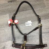 Leather Convertible Grooming - Halter, adj, snap *vgc, clean, v.stiff, scratches, chips
