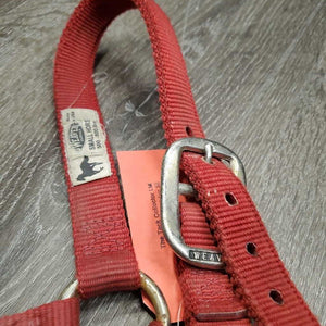 Thick Nylon Halter *gc, dirt, edge rubs & frays, oxidized