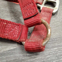 Thick Nylon Halter *gc, dirt, edge rubs & frays, oxidized
