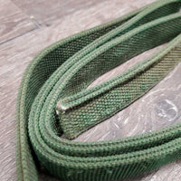 Thick Stiff Nylon Web Lead Shank, 21" Nose Chain *fair, dirt, rusty, frayed edges, stains
