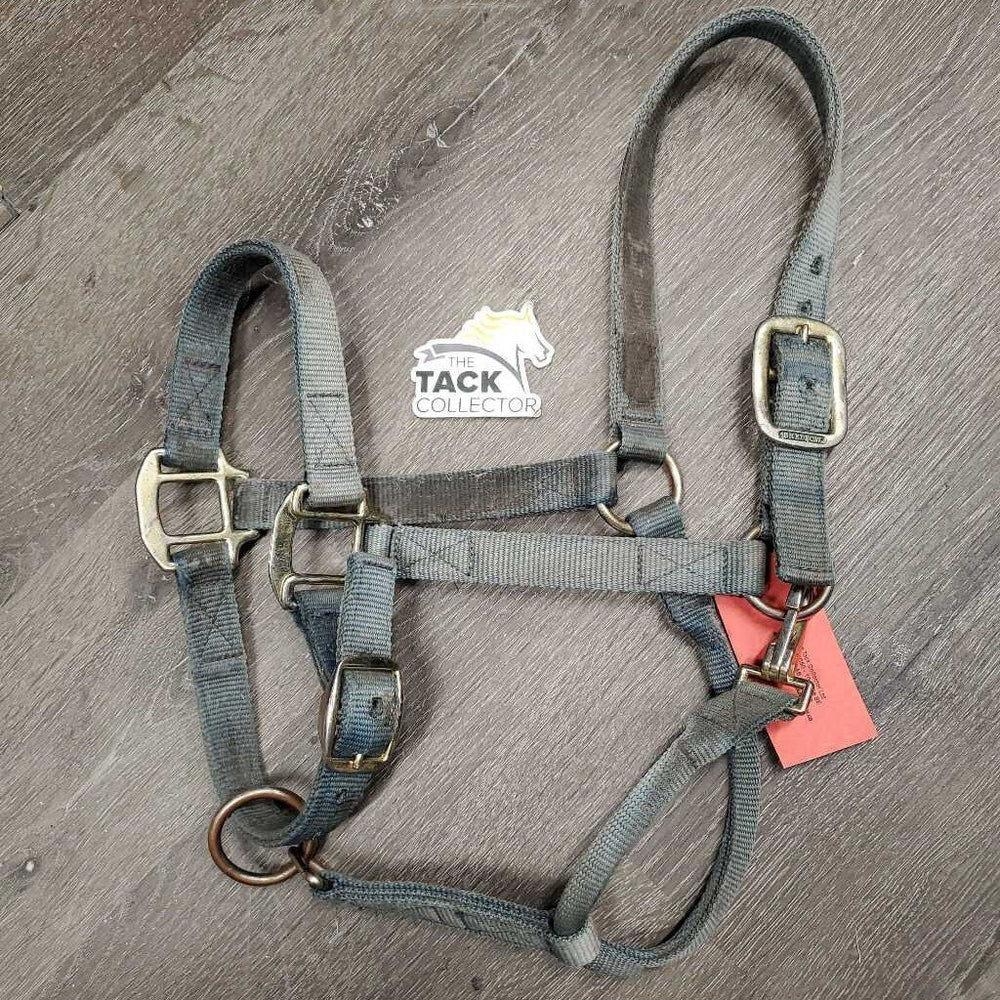 Thick Nylon Halter *fair, v.dirty, stiff, stains, faded, hole & edge rubs & frays