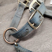 Thick Nylon Halter *fair, v.dirty, stiff, stains, faded, hole & edge rubs & frays