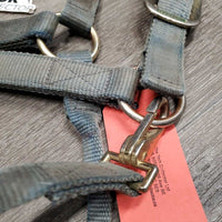Thick Nylon Halter *fair, v.dirty, stiff, stains, faded, hole & edge rubs & frays

