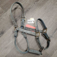 Thick Nylon Halter *fair, v.dirty, stiff, stains, faded, hole & edge rubs & frays