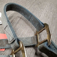 Thick Nylon Halter *fair, v.dirty, stiff, stains, faded, hole & edge rubs & frays
