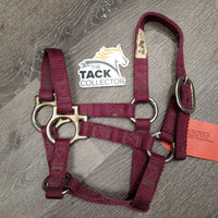 Thick Nylon Halter *fair, v.dirty, stiff, stains, faded, hole & edge rubs & frays

