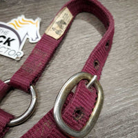 Thick Nylon Halter *fair, v.dirty, stiff, stains, faded, hole & edge rubs & frays