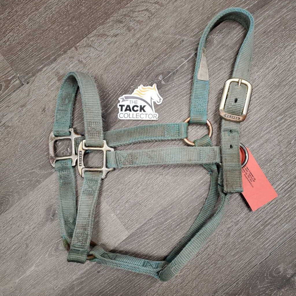 Thick Nylon Halter *gc/fair, faded, edge rubs & frays, stains, snags, discolored, rubbed