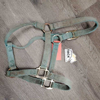 Thick Nylon Halter *gc/fair, faded, edge rubs & frays, stains, snags, discolored, rubbed
