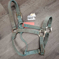 Thick Nylon Halter *gc/fair, faded, edge rubs & frays, stains, snags, discolored, rubbed