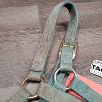Thick Nylon Halter *gc/fair, faded, edge rubs & frays, stains, snags, discolored, rubbed
