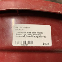 Flat Back Plastic Bucket *gc, dirty, scuffed, scratches, chews
