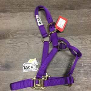 Thick Nylon Halter *like new