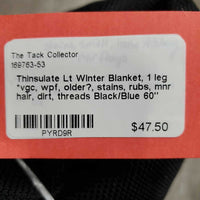 Lt Winter Blanket, 1 leg *vgc, wpf, older?, stains, rubs, mnr hair, dirt, threads
