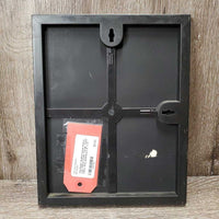 'Aul Magic' Arabian Horse Picture, Light Plastic Frame *fair/gc, faded, stains, dirty
