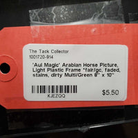 'Aul Magic' Arabian Horse Picture, Light Plastic Frame *fair/gc, faded, stains, dirty
