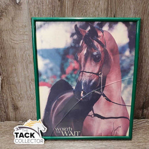 "Worth the Wait" Arabian Horse Picture, Light Plastic Frame *fair/gc, faded, stains, cracked glass, dirty
