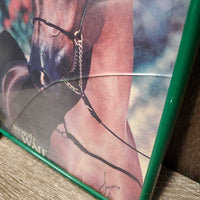 "Worth the Wait" Arabian Horse Picture, Light Plastic Frame *fair/gc, faded, stains, cracked glass, dirty
