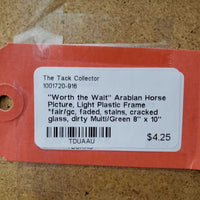 "Worth the Wait" Arabian Horse Picture, Light Plastic Frame *fair/gc, faded, stains, cracked glass, dirty