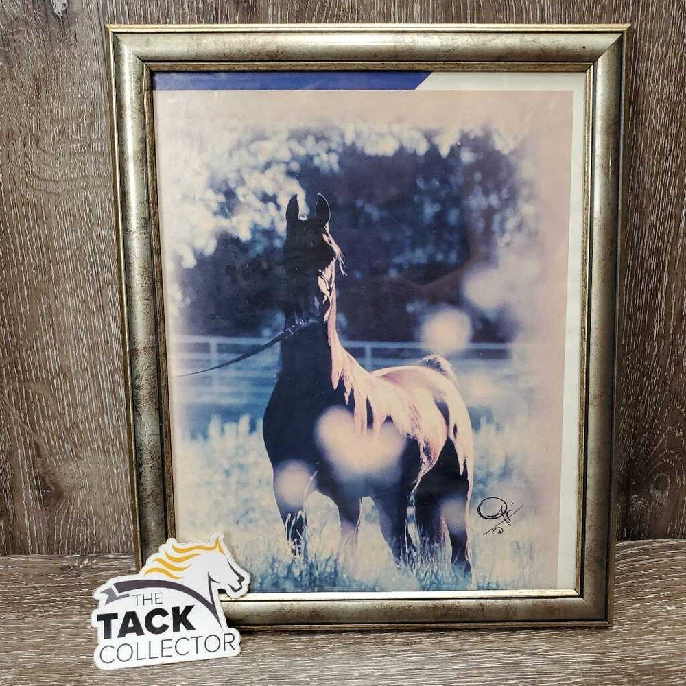 Arabian Horse, Wood Frame *gc, faded, mnr scratches, dirty, film, loose picture, frayed back edges