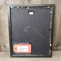 Arabian Horse, Wood Frame *gc, faded, mnr scratches, dirty, film, loose picture, frayed back edges
