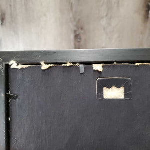 Arabian Horse, Wood Frame *gc, faded, mnr scratches, dirty, film, loose picture, frayed back edges
