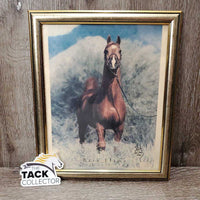 "Bask Flame" Arabian Horse, Wood Frame *gc, faded, mnr scratches
