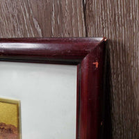 Framed & Matted South Asian Horse Picture *gc, dirty, scratches, smudges, moldy? matt
