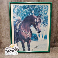 'Rave VF' Arabian Horse Picture, Light Plastic Frame *fair/gc, v.faded, stains, dirty
