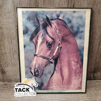 'Afire Bey V" Arabian Horse Picture, Light Plastic Frame *fair/gc, faded, stains, dirty
