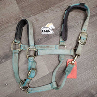 Neoprene Padded Nylon Breakaway Halter, adj, Snap, Crown Cover *gc/fair, hole, missing screw, v.dirty, v.faded, v.stained
