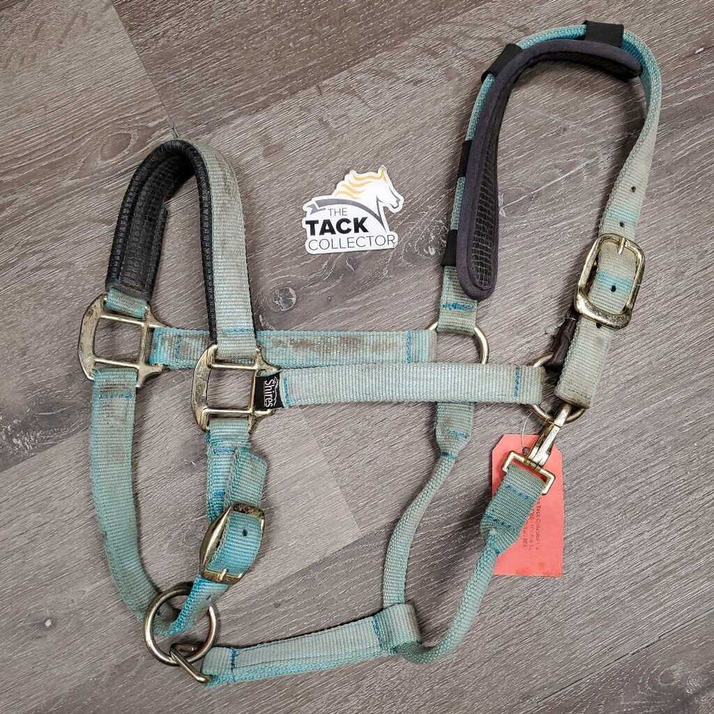 Neoprene Padded Nylon Breakaway Halter, adj, Snap, Crown Cover *gc/fair, hole, missing screw, v.dirty, v.faded, v.stained
