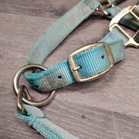 Neoprene Padded Nylon Breakaway Halter, adj, Snap, Crown Cover *gc/fair, hole, missing screw, v.dirty, v.faded, v.stained