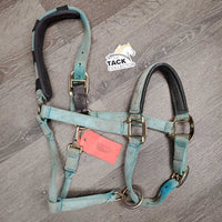 Neoprene Padded Nylon Breakaway Halter, adj, Snap, Crown Cover *gc/fair, hole, missing screw, v.dirty, v.faded, v.stained
