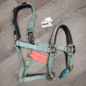 Neoprene Padded Nylon Breakaway Halter, adj, Snap, Crown Cover *gc/fair, hole, missing screw, v.dirty, v.faded, v.stained