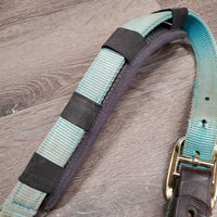 Neoprene Padded Nylon Breakaway Halter, adj, Snap, Crown Cover *gc/fair, hole, missing screw, v.dirty, v.faded, v.stained
