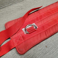 "Canicross" Fleece Lined Hands-Free Dog Walking Belt *gc, mnr stains?dirt & hair, broken plastic snap
