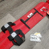 "Canicross" Fleece Lined Hands-Free Dog Walking Belt *gc, mnr stains?dirt & hair, broken plastic snap
