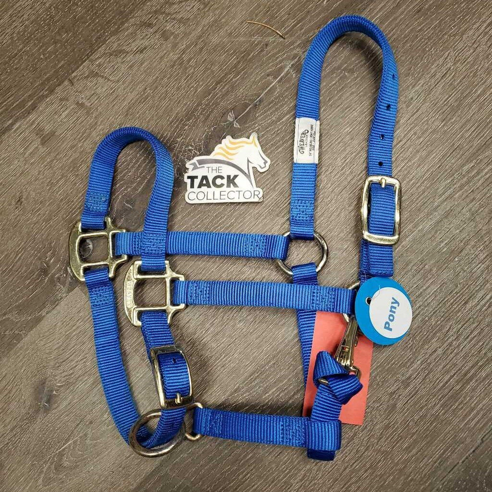 Narrow Thick Soft Nylon Halter, adj, snap *xc/vgc, clean, oxidized hardware
