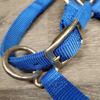 Narrow Thick Soft Nylon Halter, adj, snap *xc/vgc, clean, oxidized hardware