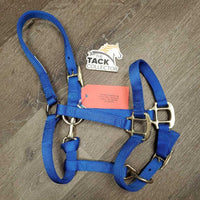 Narrow Thick Soft Nylon Halter, adj, snap *xc/vgc, clean, oxidized hardware
